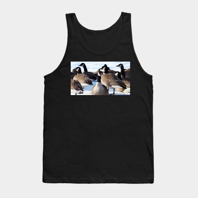 Canada Geese Standing In The Snow Tank Top by BackyardBirder